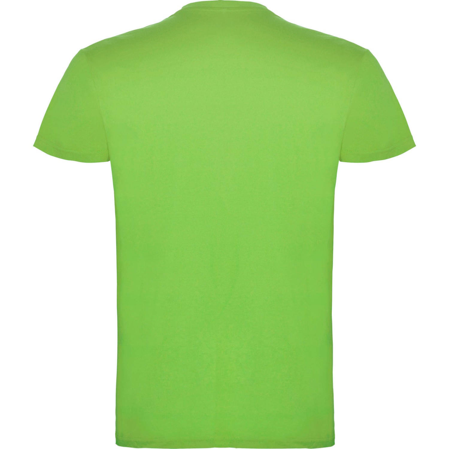 3. Foto T-Shirt BEAGLE Kurzarm Rundhals mit Druck (Farbe: oasis grün Größe: M)