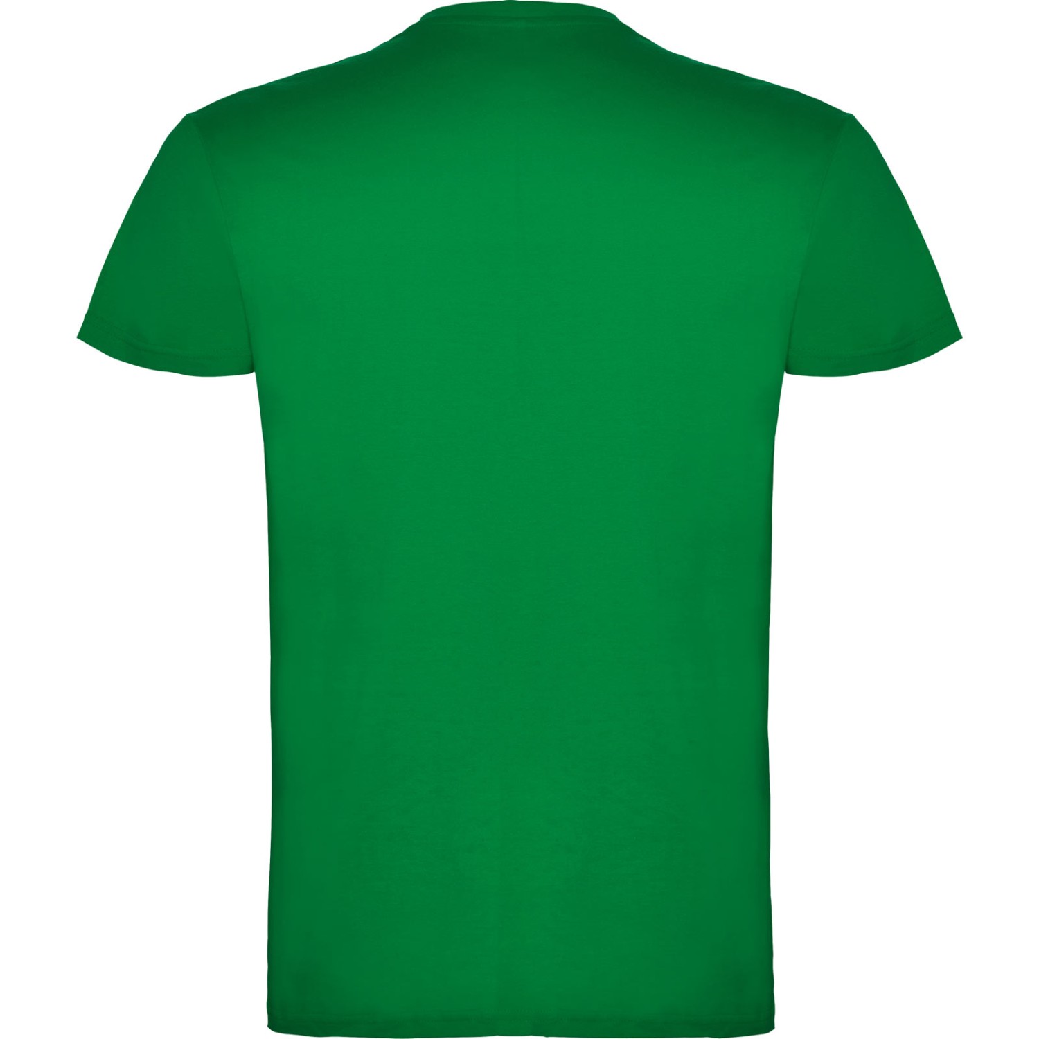 3. Foto T-Shirt BEAGLE Kurzarm Rundhals mit Druck (Farbe: kelly grün Größe: XXL)