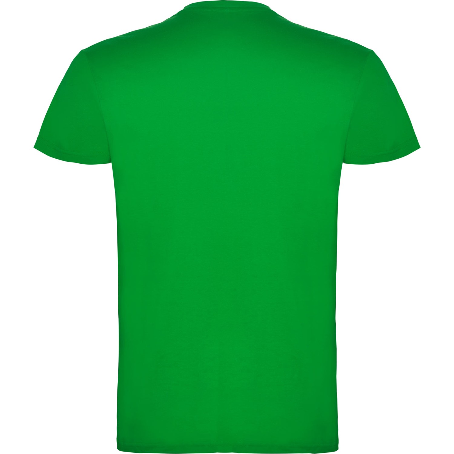 3. Foto T-Shirt BEAGLE Kurzarm Rundhals mit Druck (Farbe: grasgrün Größe: M)