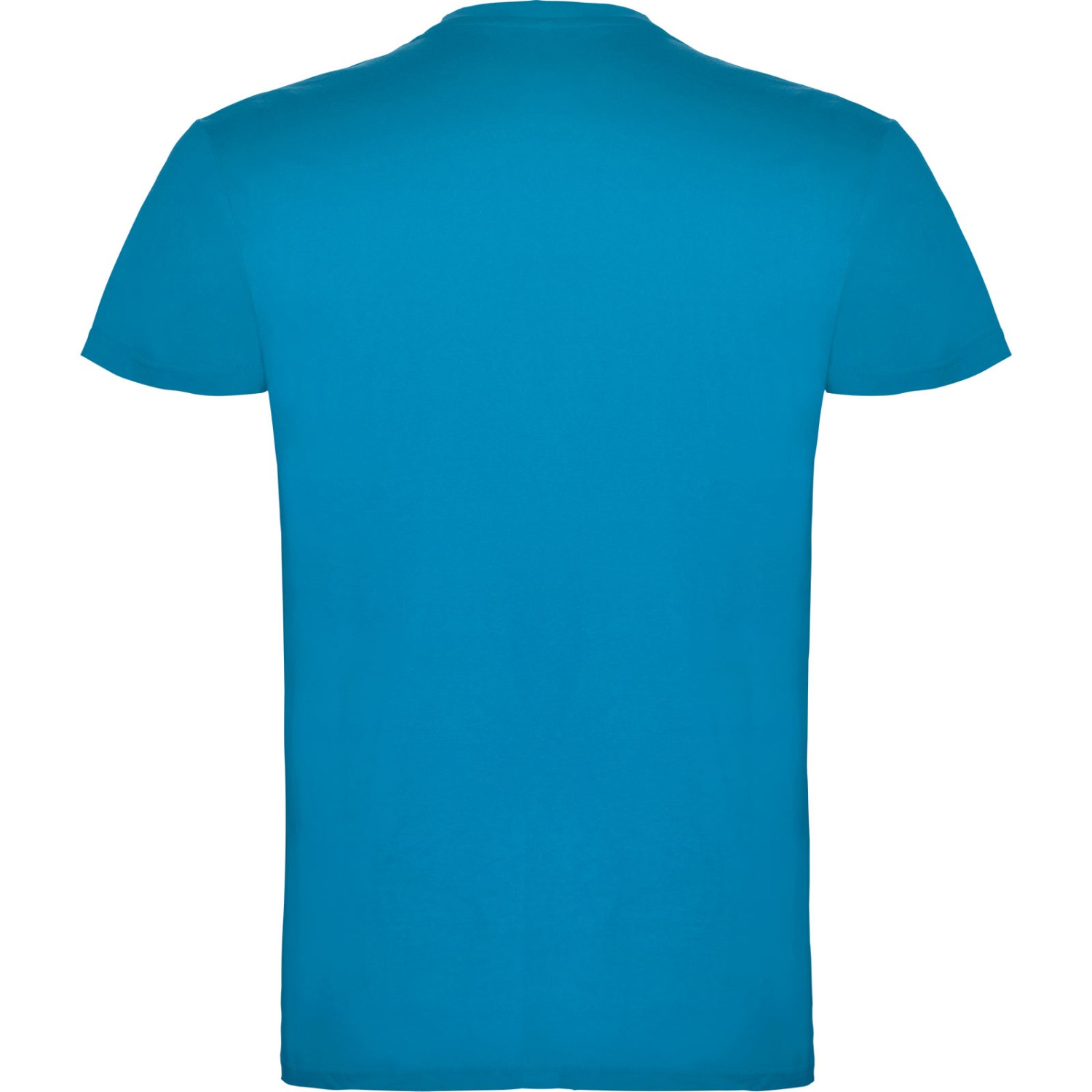 3. Foto T-Shirt BEAGLE Kurzarm Rundhals mit Druck (Farbe: türkis Größe: XL)